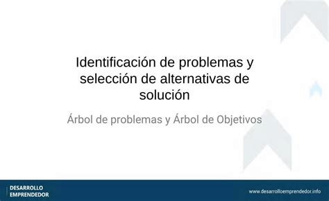 Pdf Identificación De Problemas Y Selección De Alternativas De