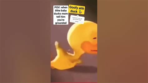 Stupid Duck Crying Meme Youtube