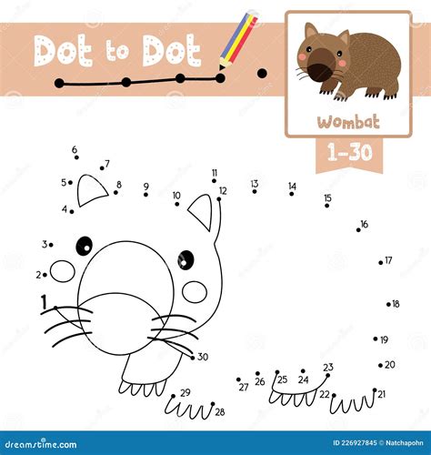 Dot To Dot Educational Game And Coloring Book Happy Wombat Animal