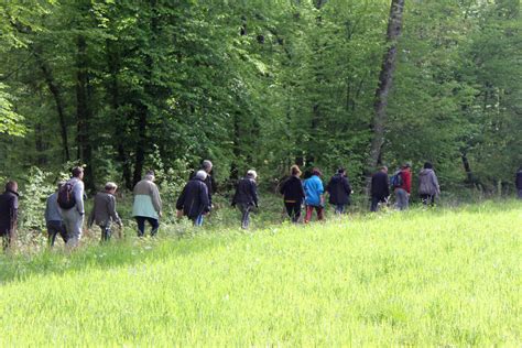 Ancerviller Rando des Covas organisée par l association Familles