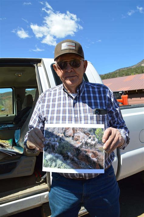 Durango man reflects on years dedicated to bighorn sheep - The Durango