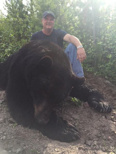 Black Bear Hunting In Canada For Non Residential Alphadog Outdoors