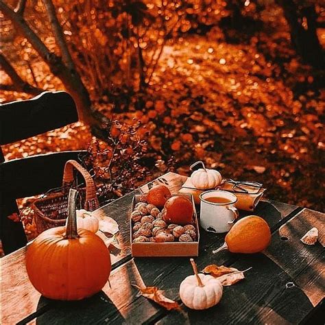 🍁autumn Season🍁 Fallfashionseason • Instagram Photos And Videos