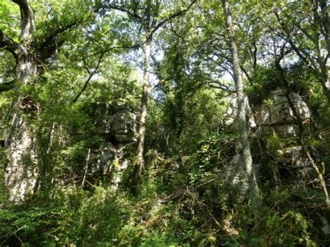 Balades dans le bois de Païolive venez découvrir de nombreux sentiers