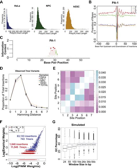 Genome Wide De Novo L Retrotransposition Connects Endonuclease