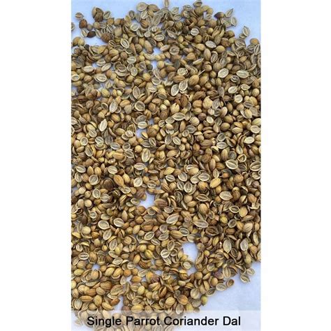 Single Parrot Coriander Seed Latest Price Manufacturers Suppliers