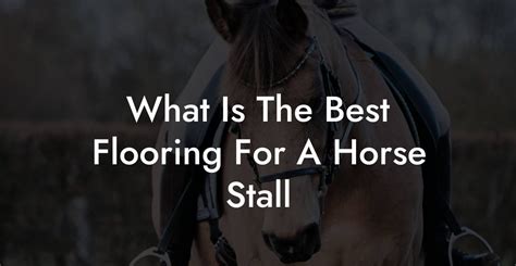 What Is The Best Flooring For A Horse Stall - How To Own a Horse