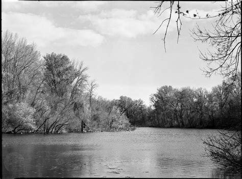 Backwaters of Tisza River by HoremWeb on DeviantArt