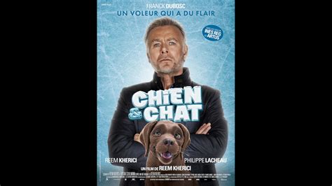 Chien Chat Chichi Et Diva Parviendront Ils Retomber Sur Leurs