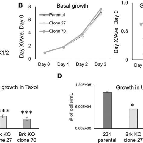 Brk Expression Induction In Response To Taxol Treatment Or Suspension