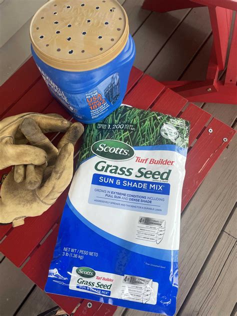 How To Spread Grass Seed Without A Spreader Effectively Lawnhelpful