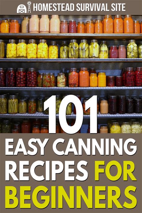 150 Easy Canning Recipes For Beginners Canning Easy Canning Canning