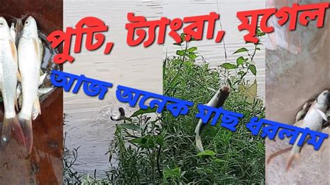 আজ অনেক মাছ ধরলাম So Many Fishing Today Fishing Video Fishing