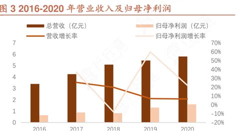 如何评价2016 2020年营业收入及归母净利润具体情况如何 行行查 行业研究数据库