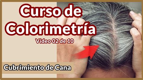 Cubrimiento De Cana Y Rellenos De Color Curso De Colorimetria Video