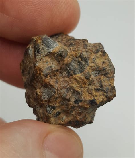 Meteorite NWA 14056 Diogenite With Large Crystals 16 84 Catawiki