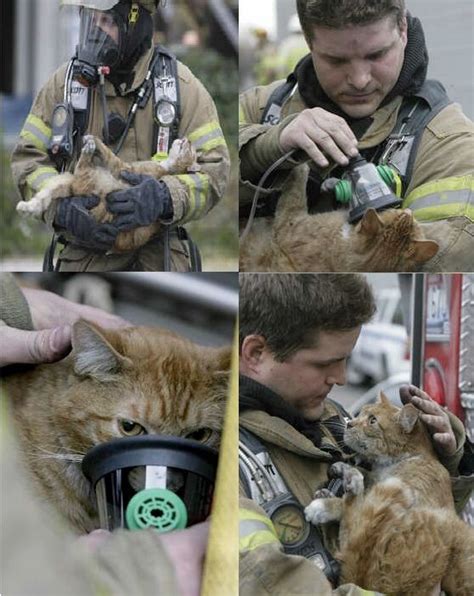 Brodie Barks Fire Fire Save Animals From Fire Heartclosetblog