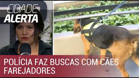 Caso Wilson Polícia Faz Buscas Com Cães Farejadores Em Rodoviária