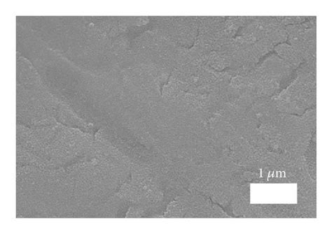 Sem Micrographs Of Ceo2 Layers Calcined At 700 K For 30 Min After A Download Scientific