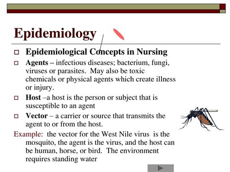 PPT - Epidemiology PowerPoint Presentation, free download - ID:4588546