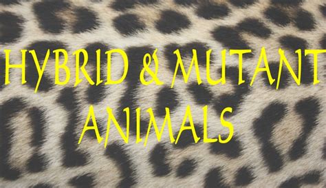 Hybrid And Mutant Animals