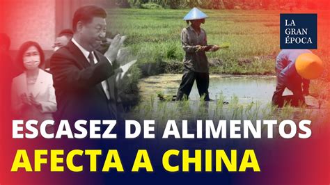 Escasez De Alimentos En China Las Autoridades Chinas Ordenan Acabar Con El Desperdicio De