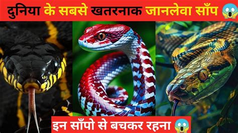 दुनिया के 10 सबसे खतरनाक जानलेवा साँप 😱 Top 10 Most Dangerous Snakes