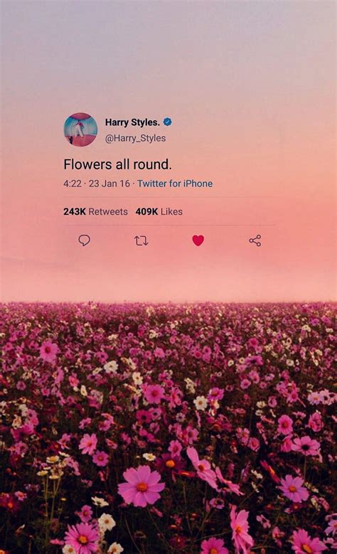 Harry Styles Pink Harry Styles Album Hd Phone Wallpaper Pxfuel