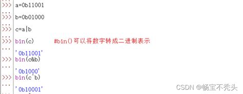 Python的基本数据类型和运算符python测试对象的类型的运算符 Csdn博客