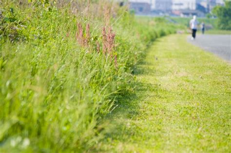 ハーフマラソン初心者のためのペース配分の目安と走り方の3つのコツ Runnal ランナル