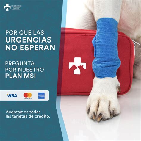 Hospital Veterinario Atención Clínica 24 Horas