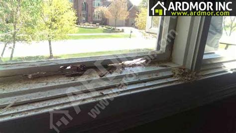 Pella Window Sash Repair Ardmor Inc