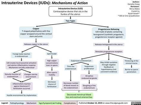 Intrauterine Devices Iuds Mechanism Of Action Calgary Guide