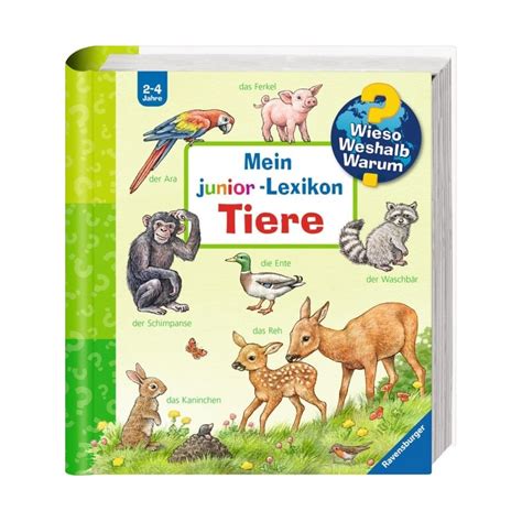 Spielwaren Krömer Ravensburger Buch Wieso Weshalb Warum Junior