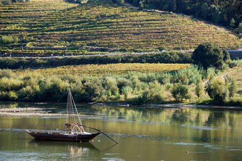 Private Douro Valley Wine Tasting Tour with 2 Wineries - Book Yours ...