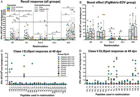 Peptide Immunogenicity Measured By Ifnγ Elispot A Pbmc 2 5 X 105 Download Scientific