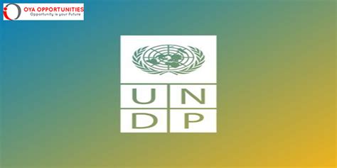 Undp Laboratory Technician Paid Internship Apply Now Oya