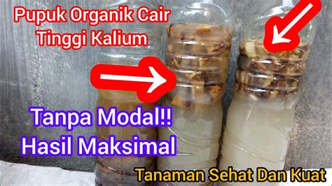 Cara Membuat Pupuk Organik Cair Nyaris Tanpa Modal POC Kulit Pisang