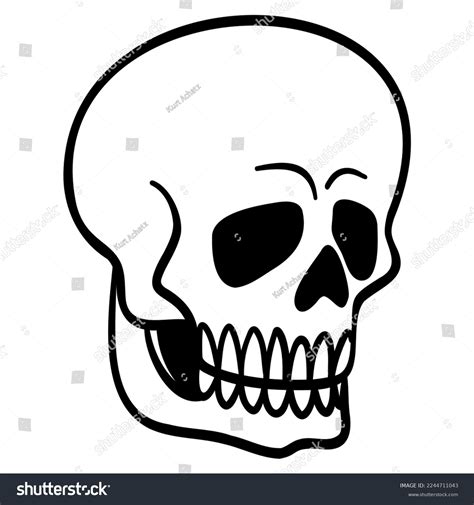 Side View Vector Skull Stock Vector (Royalty Free) 2244711043 ...