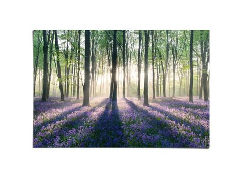 Maxiposter Enchanted Forest 61 X 91 5 Cm Kaufen Bei OBI