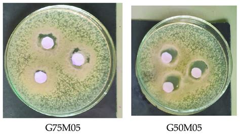 Antimicrobial activities of edible film of fish skin... | Download ...