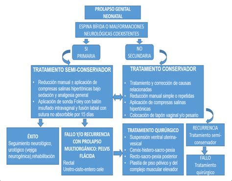 Algoritmo de manejo en prolapso genital y estado de pelvis flácida