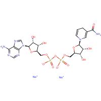 Cas No Nicotinamide Adenine Dinucleotide Reduced Form