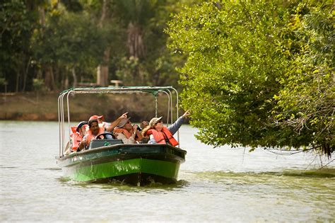 The Panama Canal Rainforest Boat Adventure – Ancon Expeditions of Panama