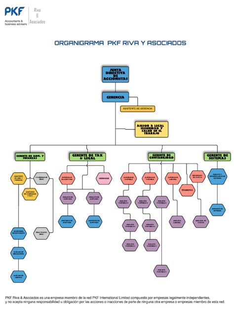 Modelo Organigrama Empresa Contable Contabilidad Y Auditoria