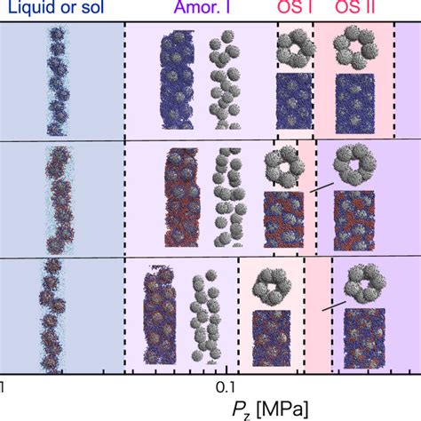 Schematic Phase Diagram Of Polymer Tethered NP Solution Confined In NT