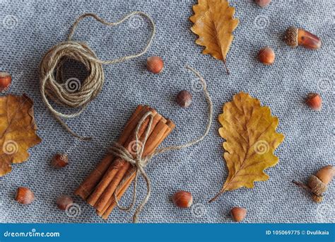 Autumn Flat Lay Composition Stock Image Image Of Mess Still 105069775