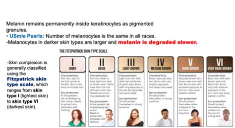 Melanocytic lesions Flashcards | Quizlet