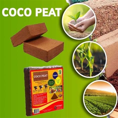 Low Ec Coco Peat Block For Agriculture Packaging Type Packet At Rs