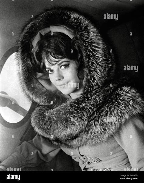 The Great Race Natalie Wood Hi Res Stock Photography And Images Alamy